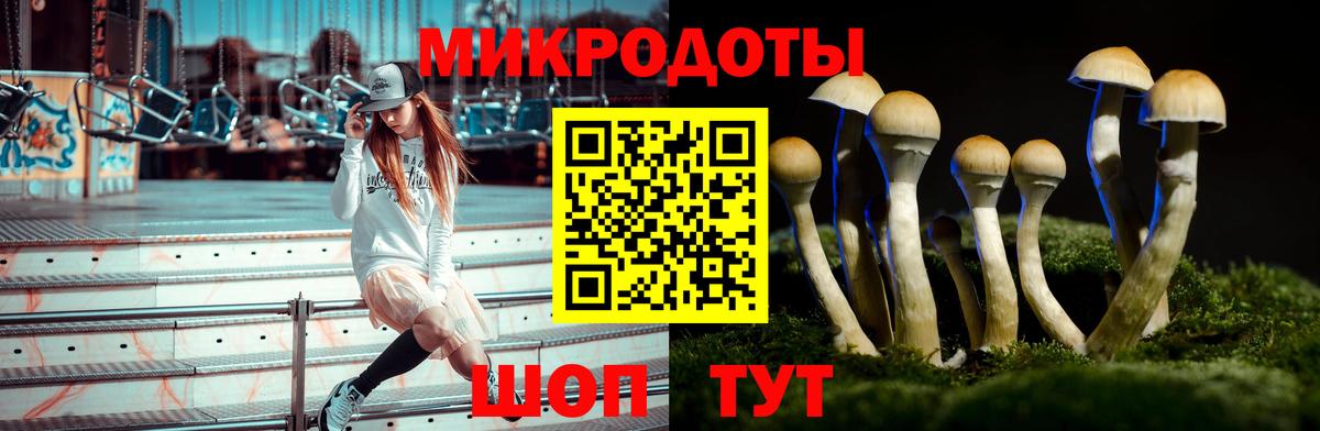 Псилоцибиновые грибы Magic Shrooms Щёлково