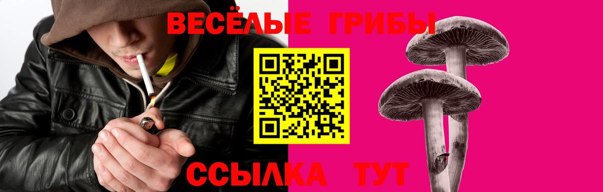 Галлюциногенные грибы Cubensis  Псилоцибиновые грибы Psilocybe  Щёлково  купить закладку  Вход с VPN 